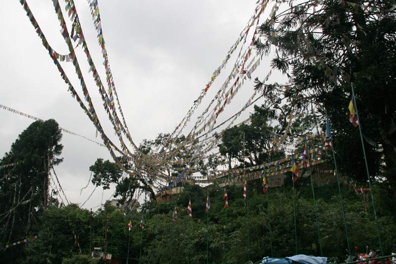 India & Nepal 2011 - 0414